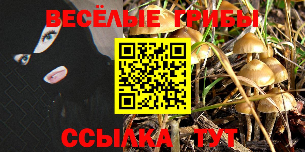 Балабаново  Псилоцибиновые грибы Psilocybe  Вход с VPN  Псилоцибиновые грибы мицелий 